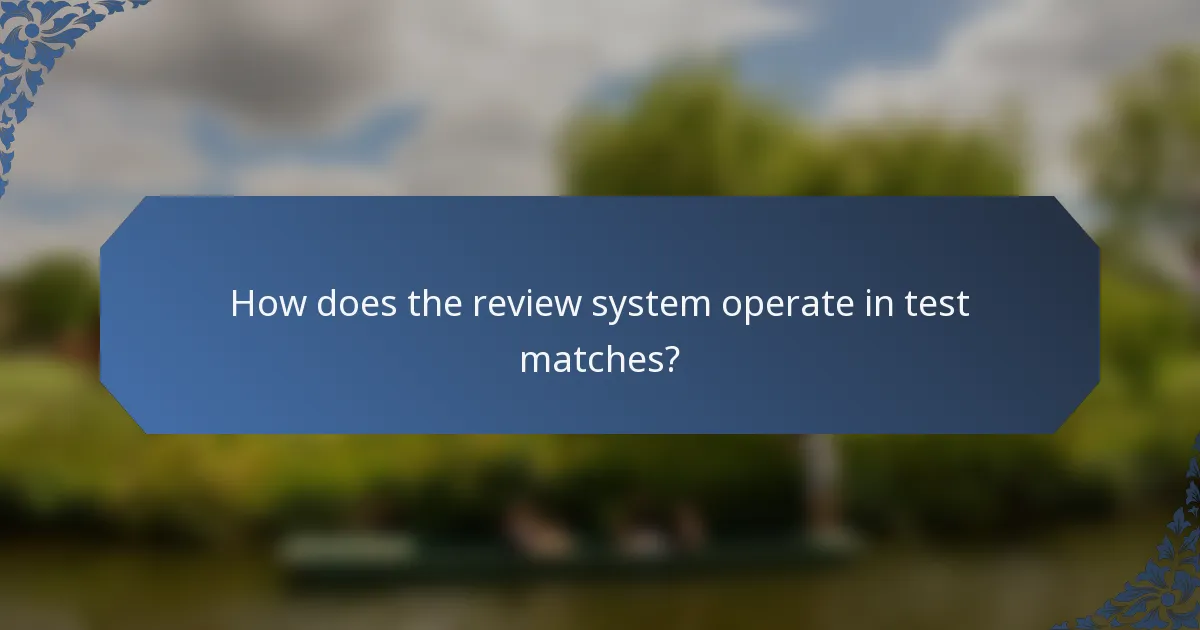 How does the review system operate in test matches?