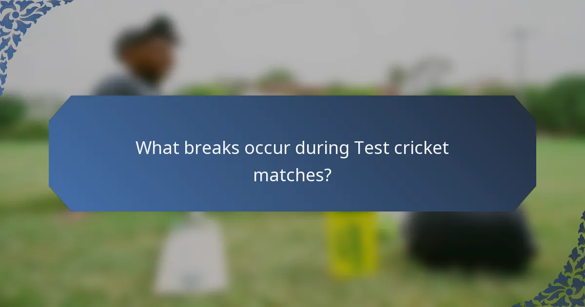 What breaks occur during Test cricket matches?